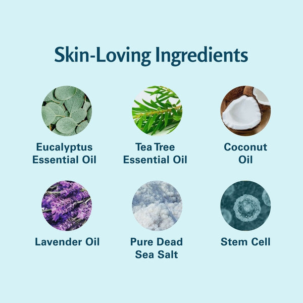 List of skin-loving ingredients with corresponding images and names on a light blue background.