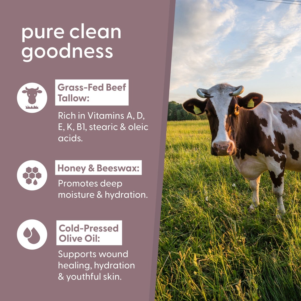 Beef Tallow Balm - Unscented