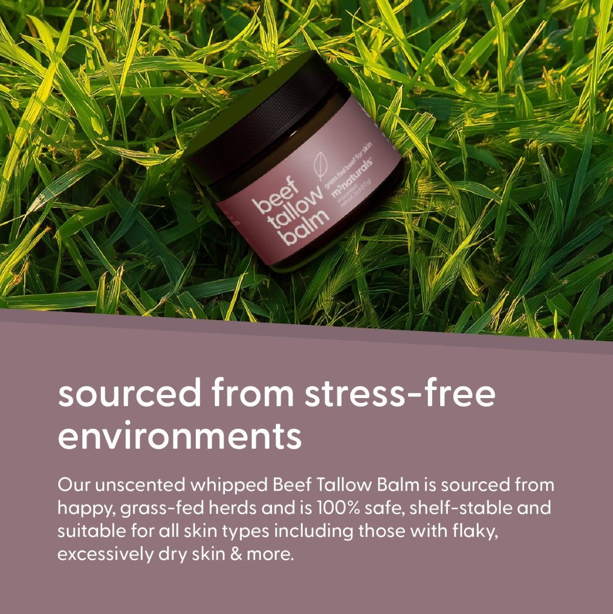 Beef Tallow Balm - Unscented